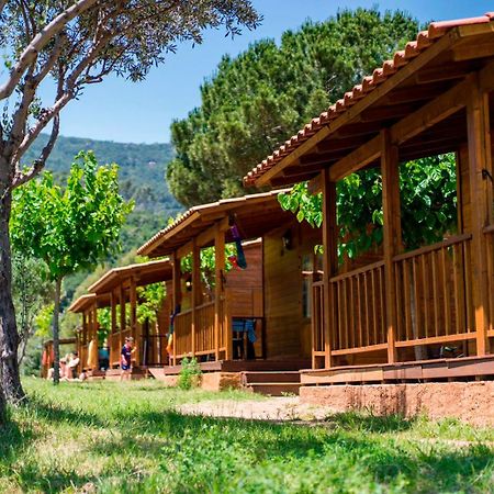 فندق كالديس دي مونتبويفي  Camping El Pasqualet المظهر الخارجي الصورة