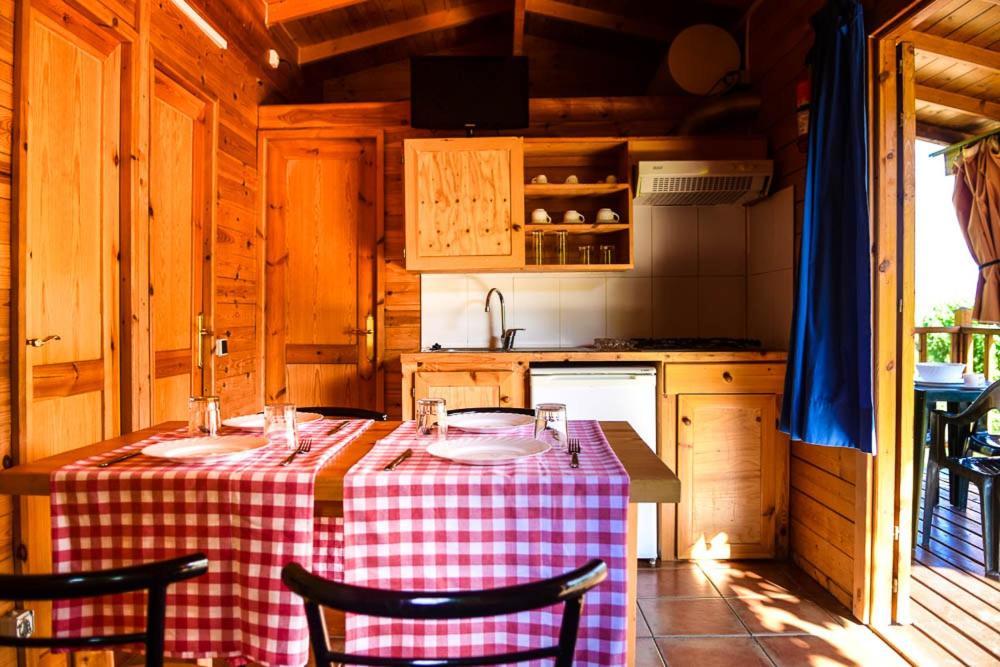 فندق كالديس دي مونتبويفي  Camping El Pasqualet المظهر الخارجي الصورة